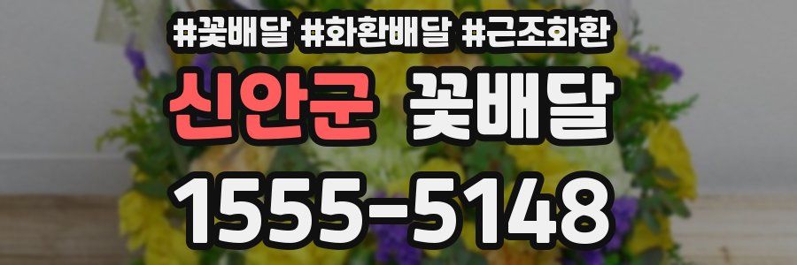 신안군 꽃배달