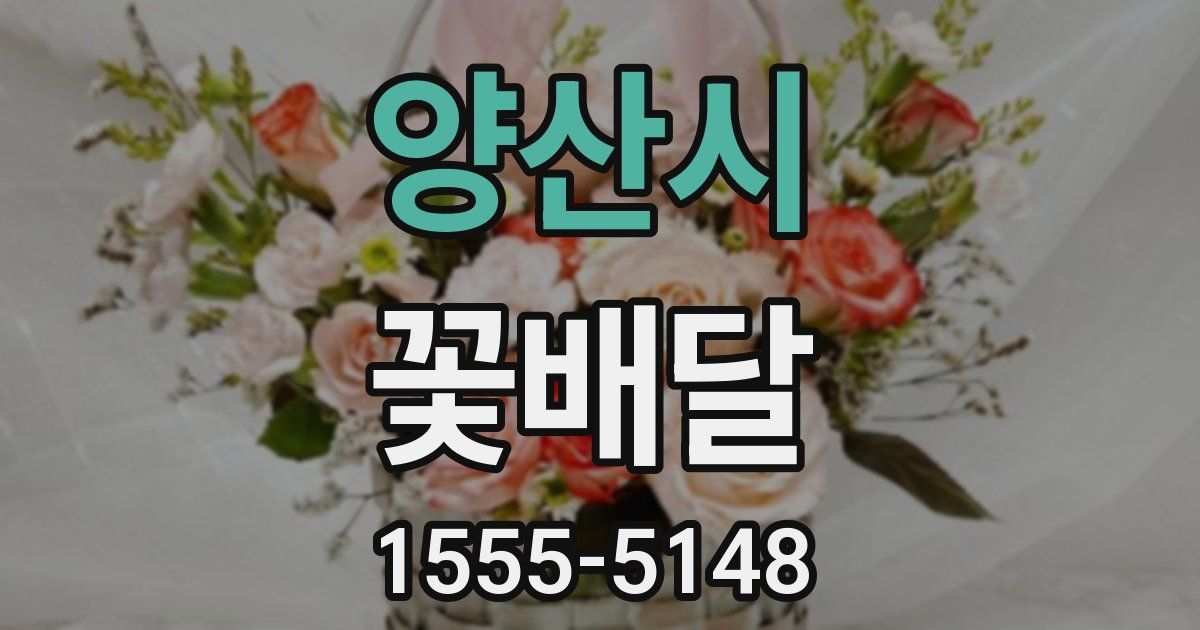 양산시 꽃배달