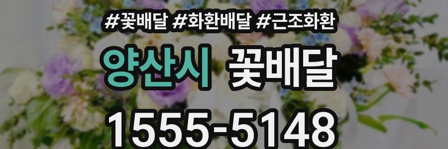 양산시 꽃배달