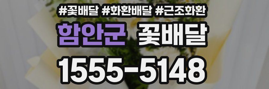 함안군 꽃배달