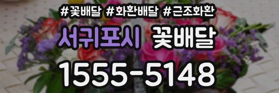 서귀포시 꽃배달