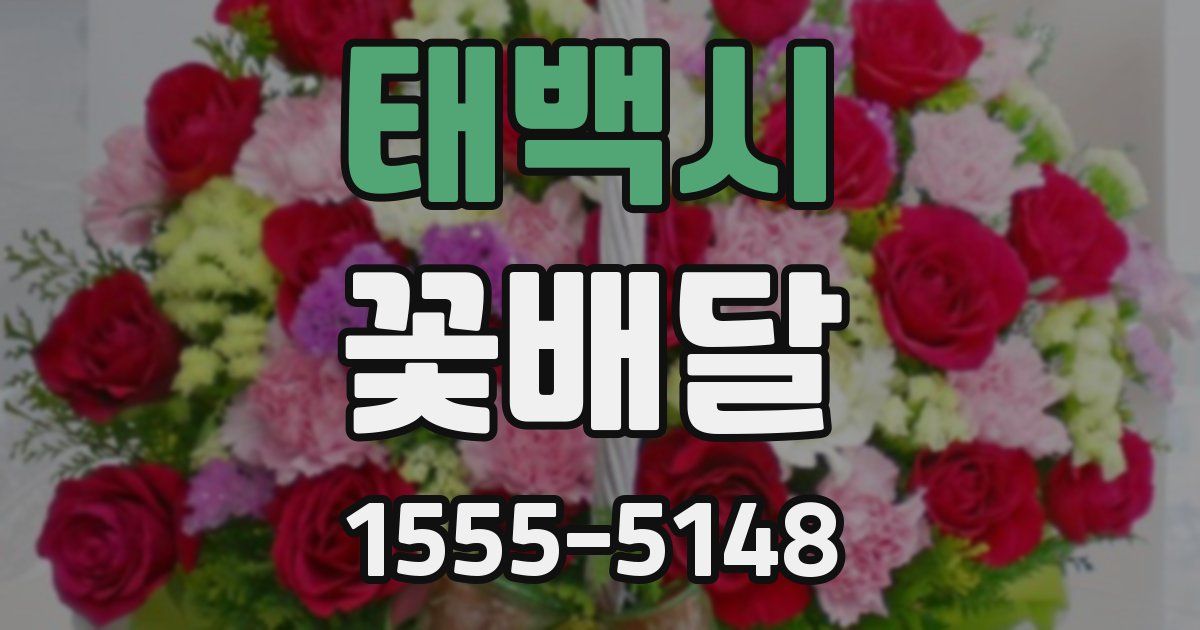 태백시 꽃배달