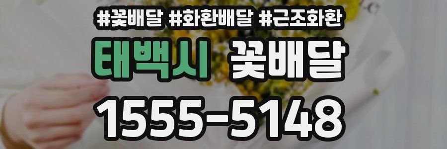 태백시 꽃배달