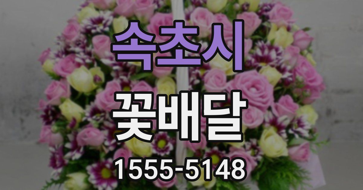 속초시 꽃배달