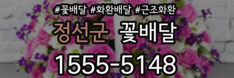 정선군 꽃배달
