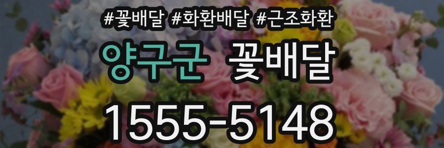 양구군 꽃배달