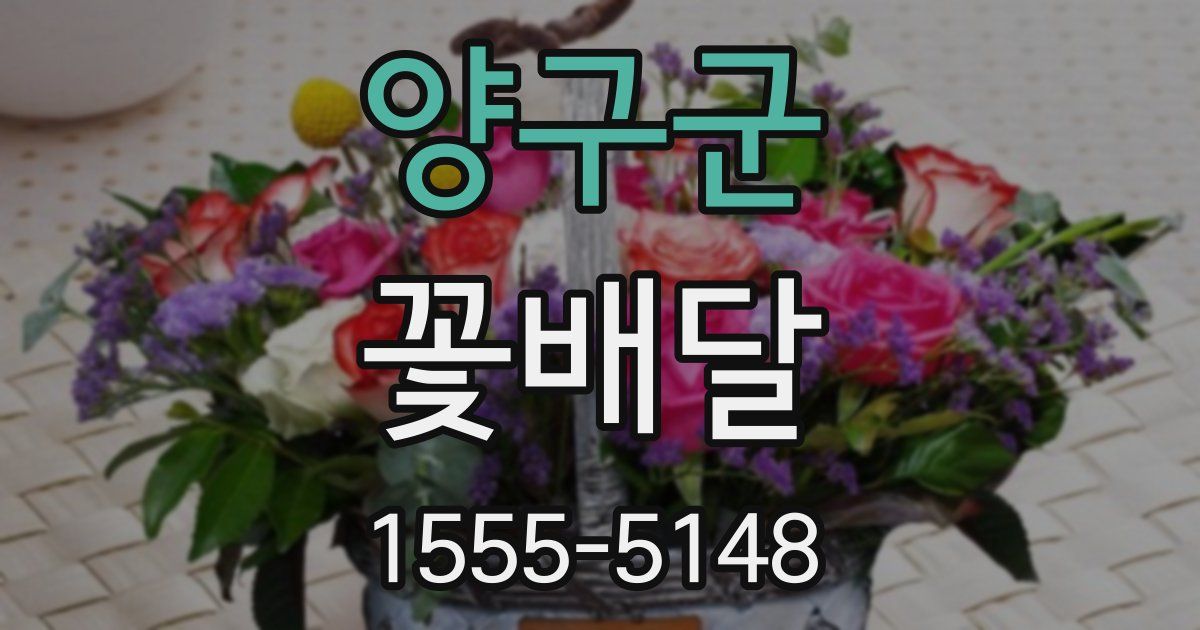 양구군 꽃배달