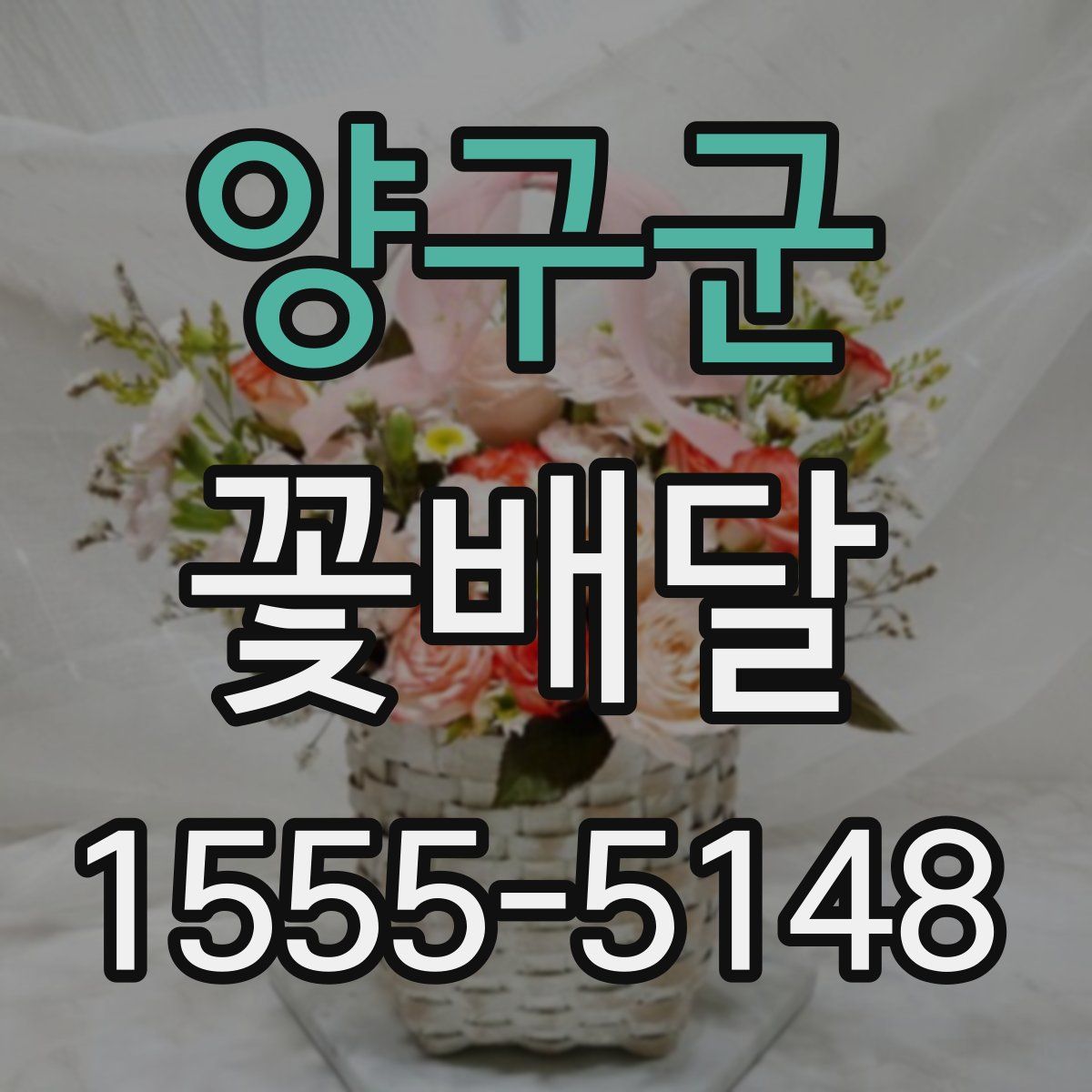 양구군 꽃배달