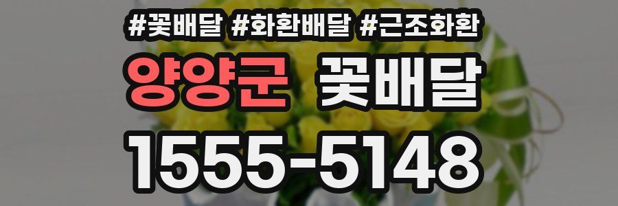 양양군 꽃배달