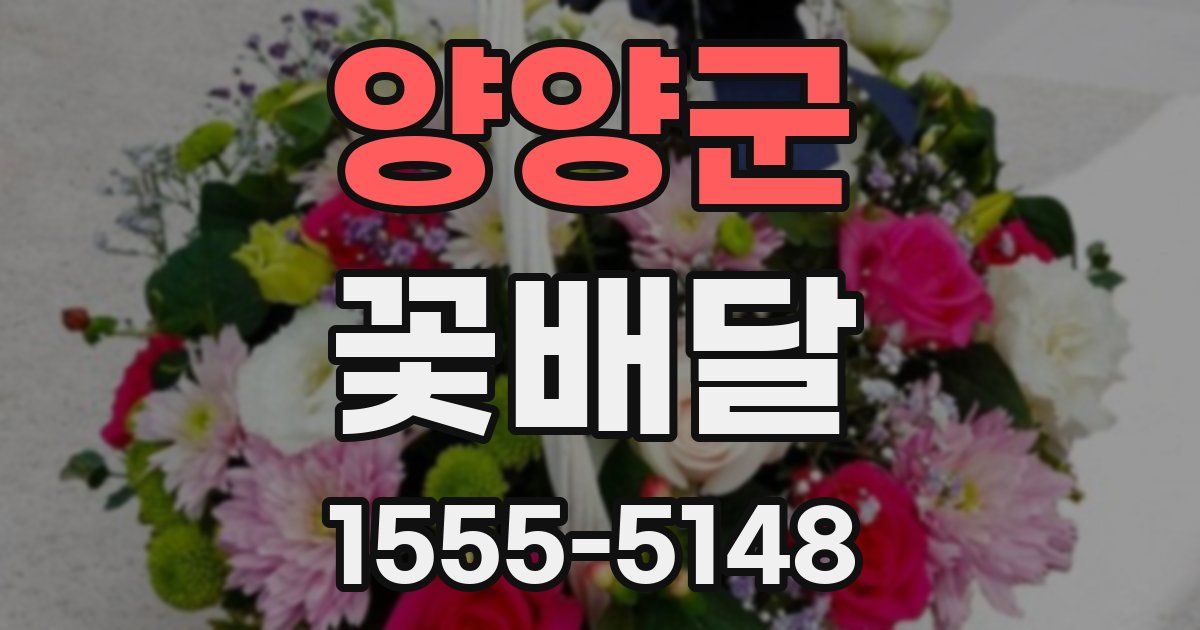 양양군 꽃배달