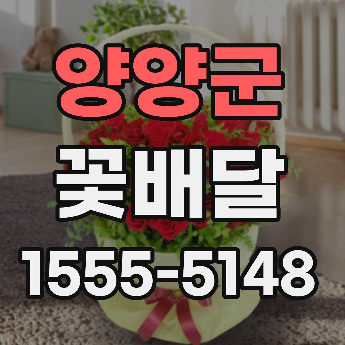 양양군 꽃배달