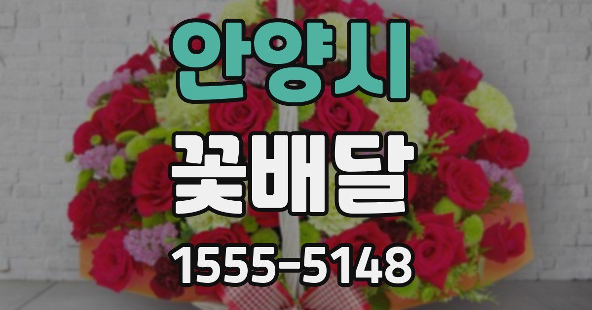 안양시 꽃배달