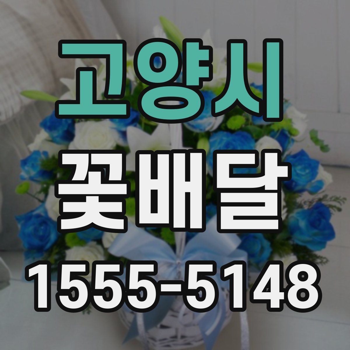 고양시 꽃배달