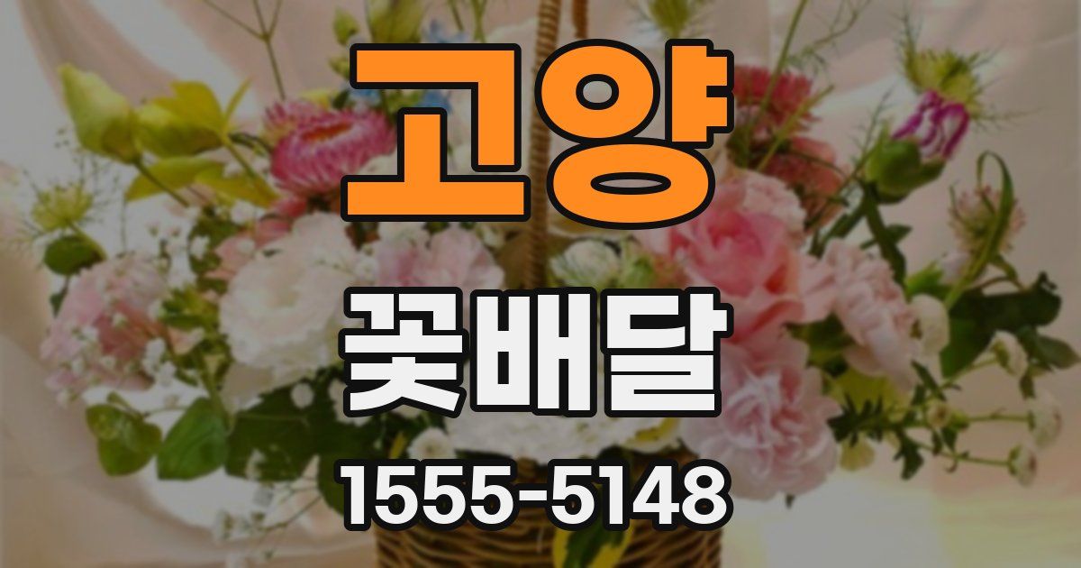 고양 꽃배달