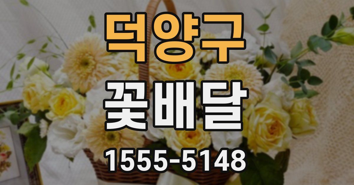 덕양구 꽃배달