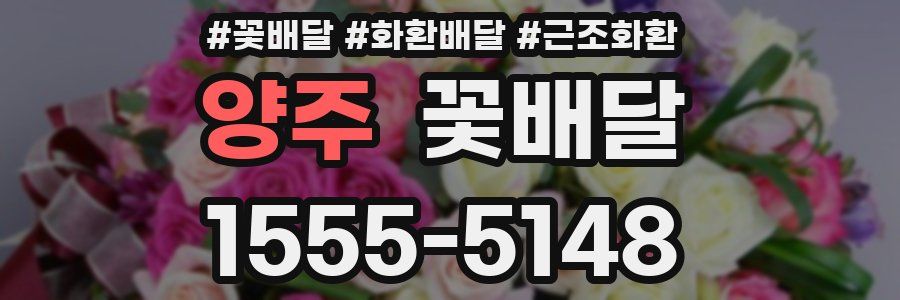 양주 꽃배달