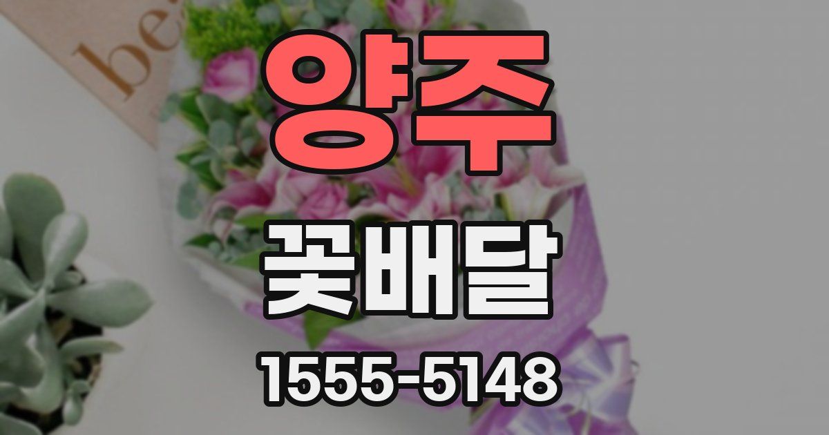 양주 꽃배달