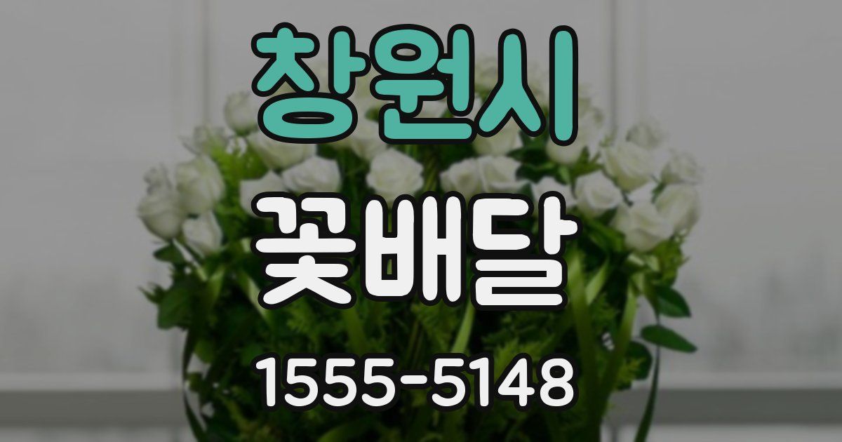 창원시 꽃배달