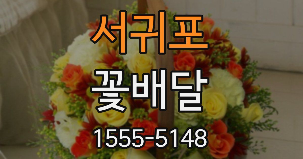 서귀포 꽃배달