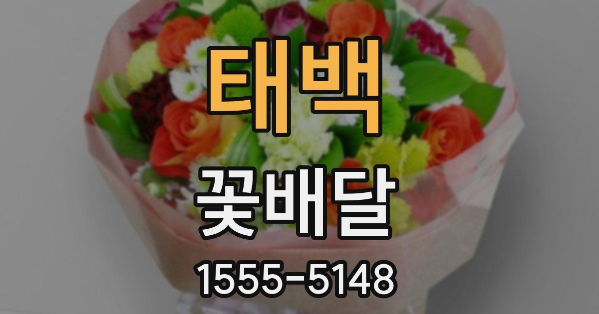 태백 꽃배달
