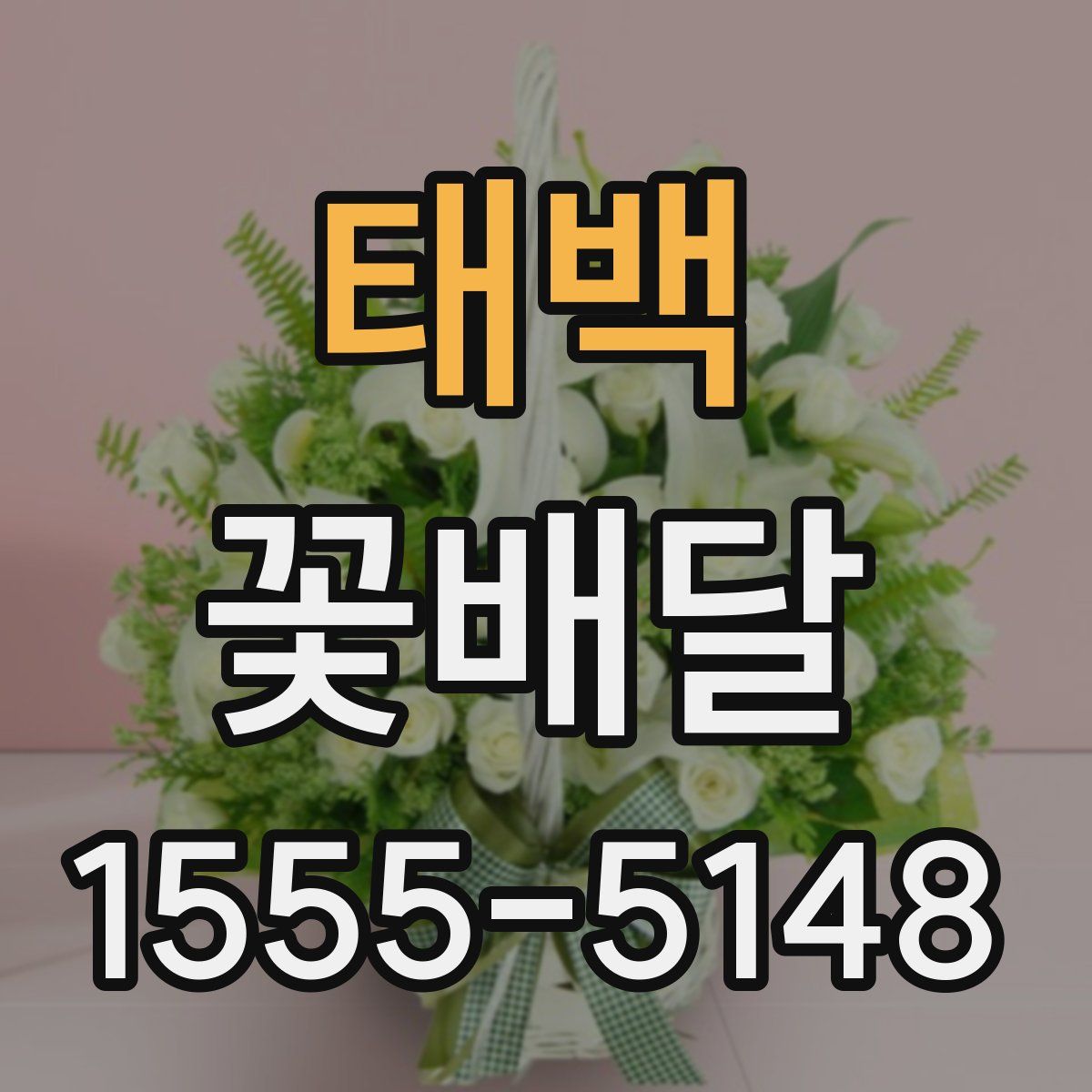 태백 꽃배달