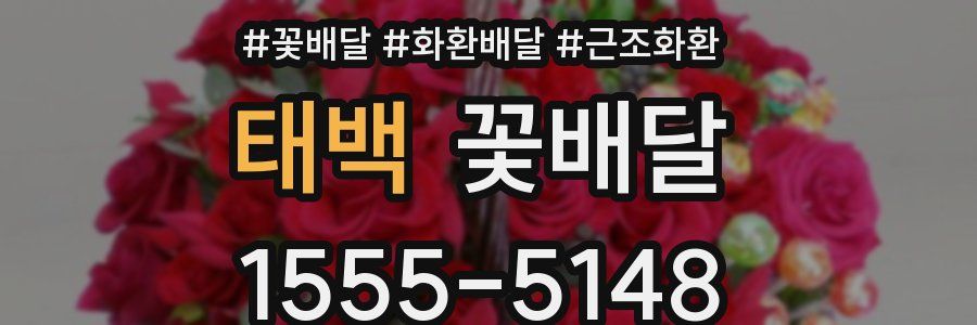 태백 꽃배달