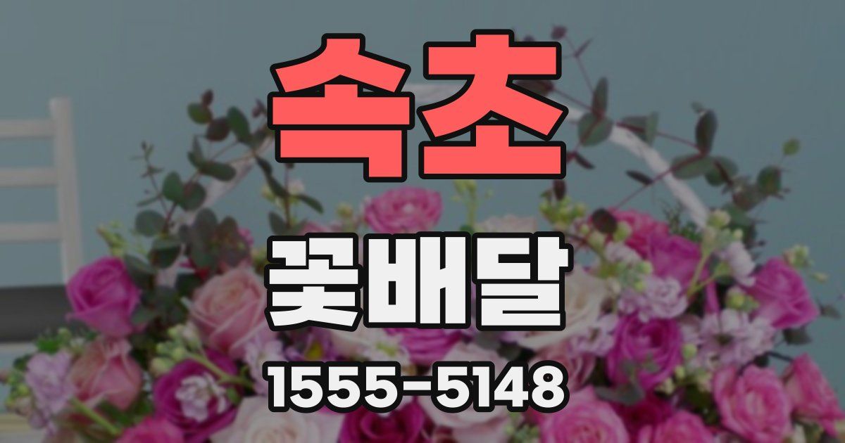 속초 꽃배달