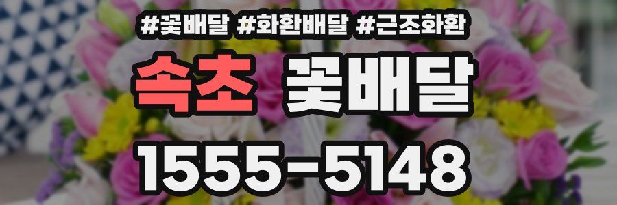 속초 꽃배달