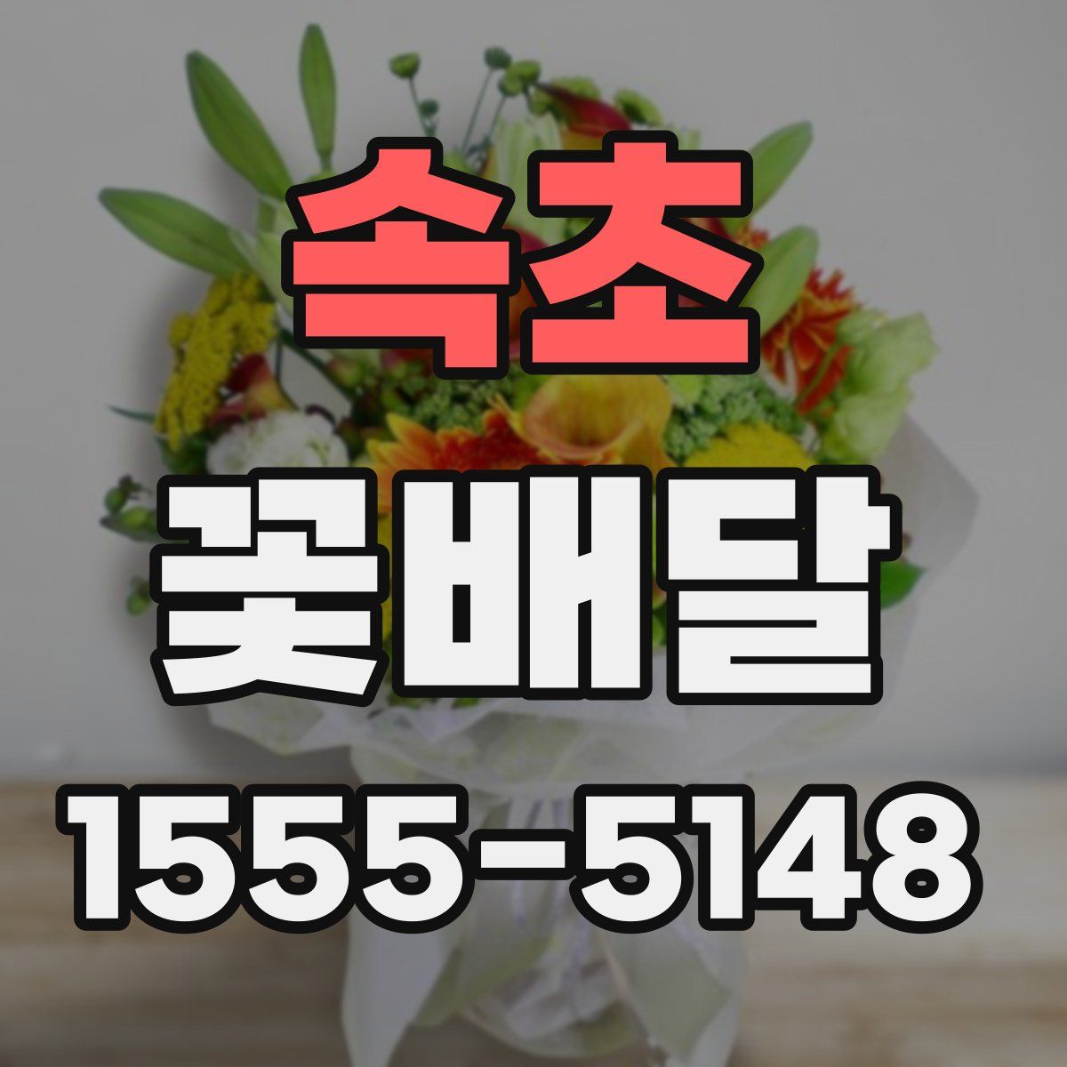 속초 꽃배달