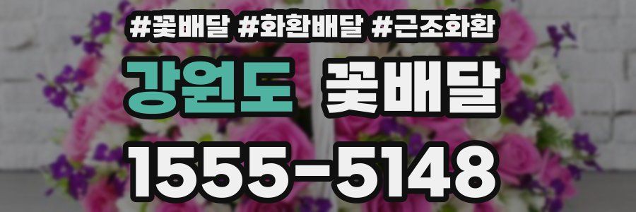 강원도 꽃배달