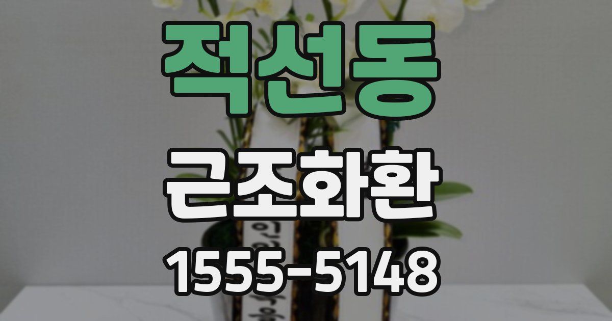 적선동 근조화환