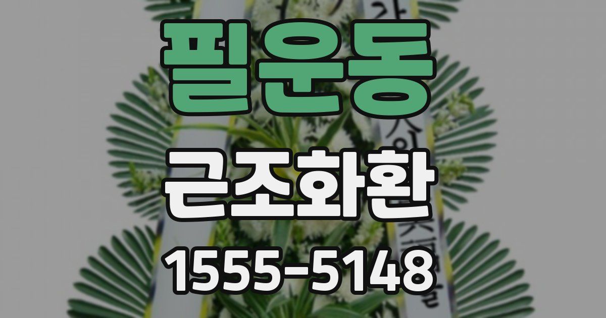 필운동 근조화환