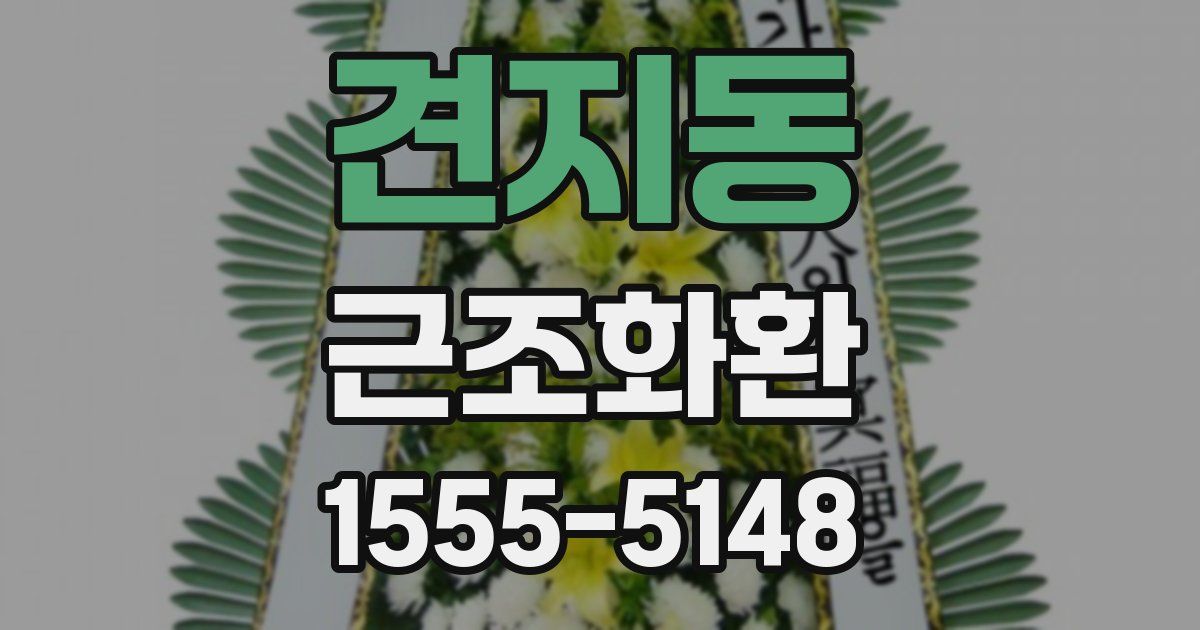 견지동 근조화환