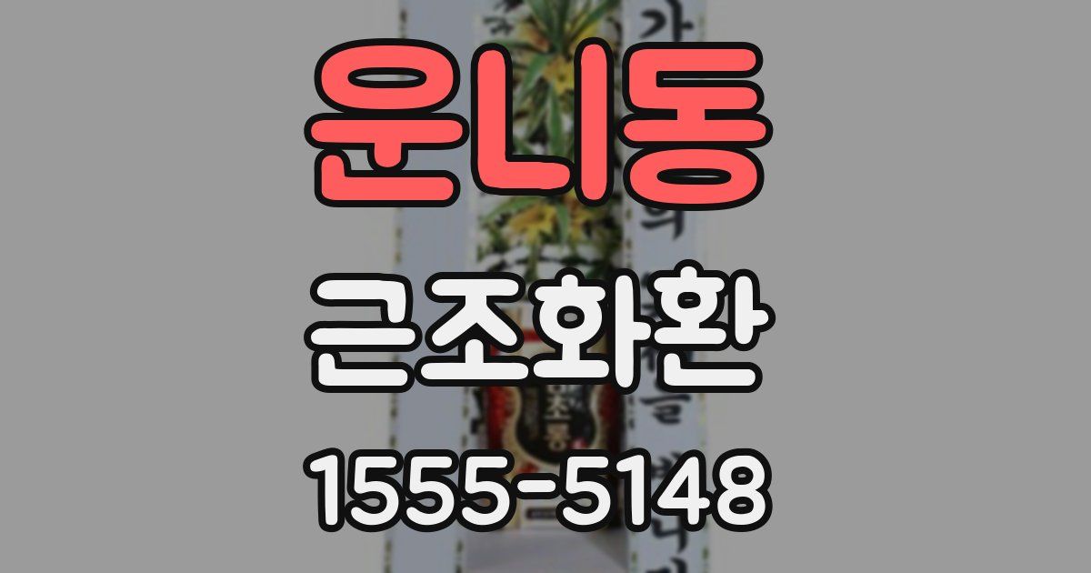 운니동 근조화환