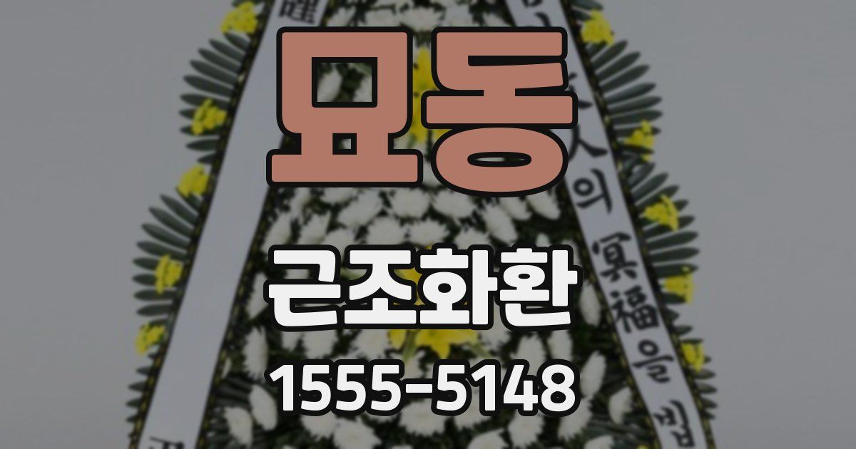 묘동 근조화환