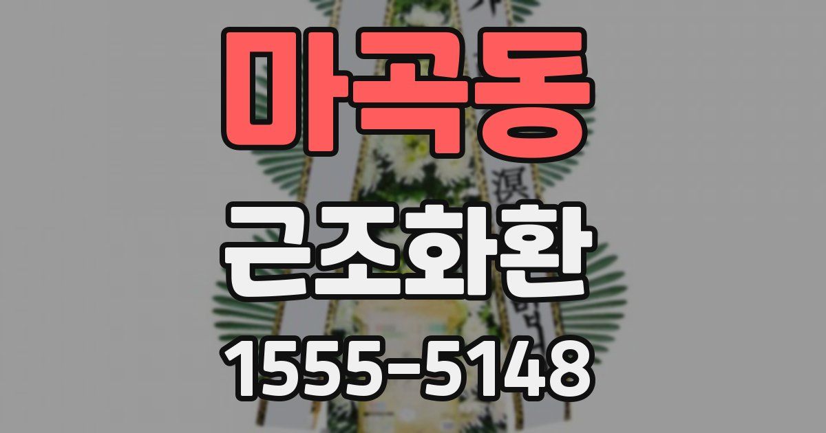 마곡동 근조화환