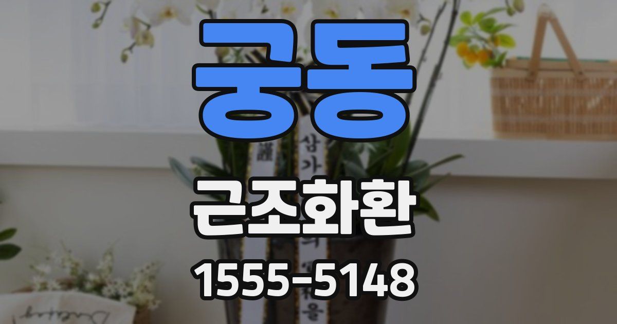궁동 근조화환