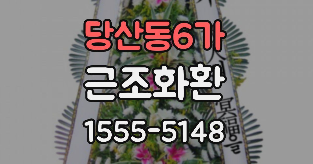 당산동6가 근조화환