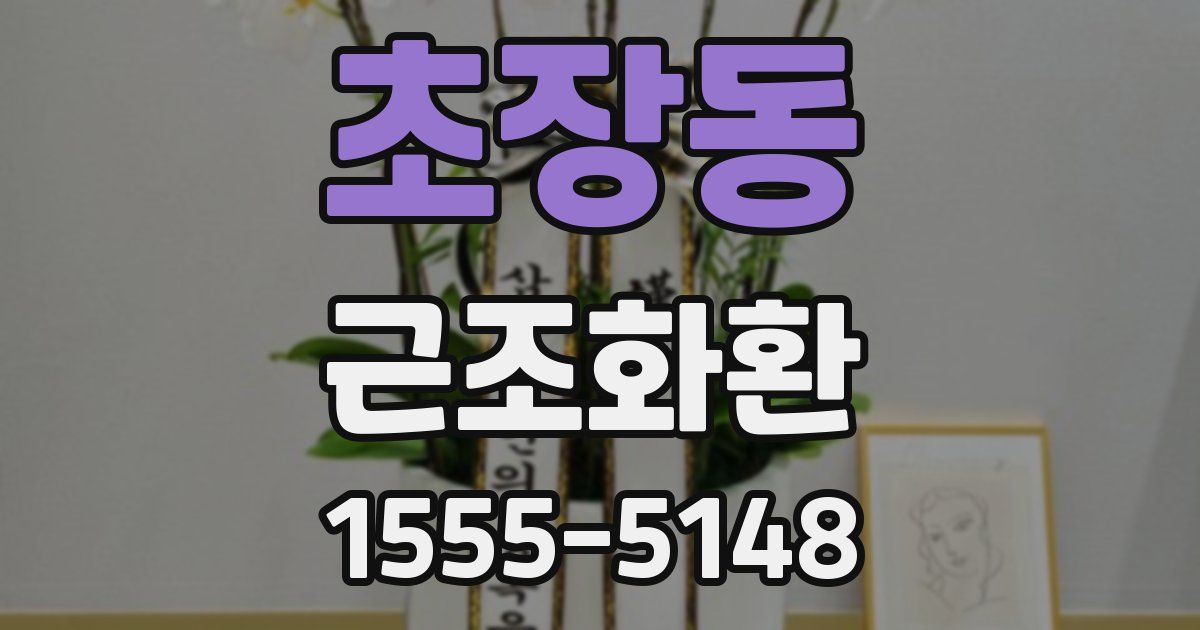 초장동 근조화환