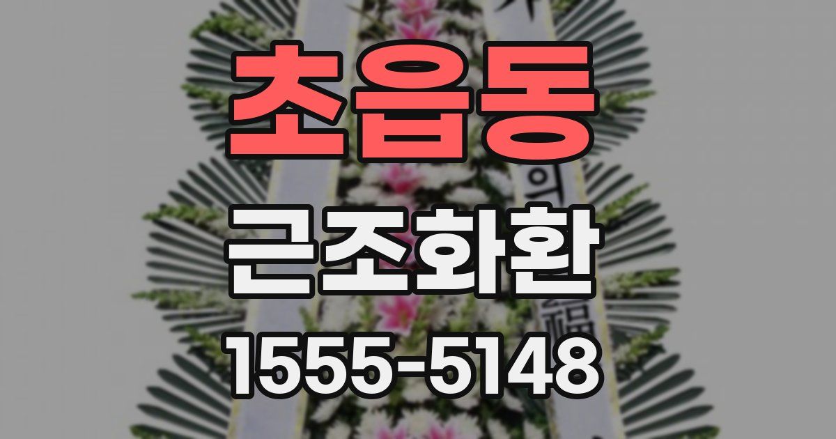 초읍동 근조화환