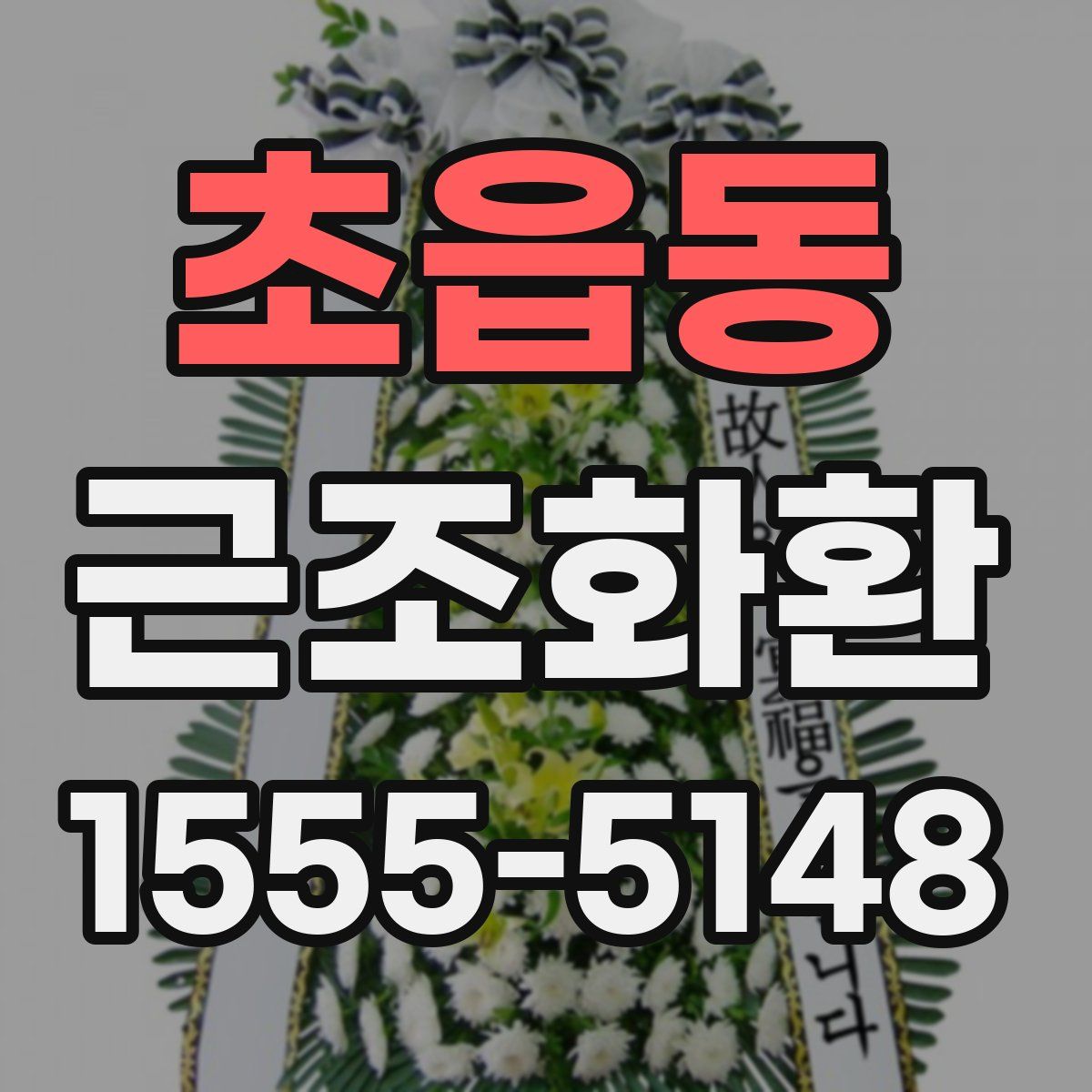 초읍동 근조화환