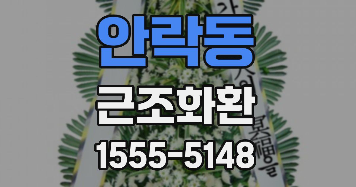 안락동 근조화환
