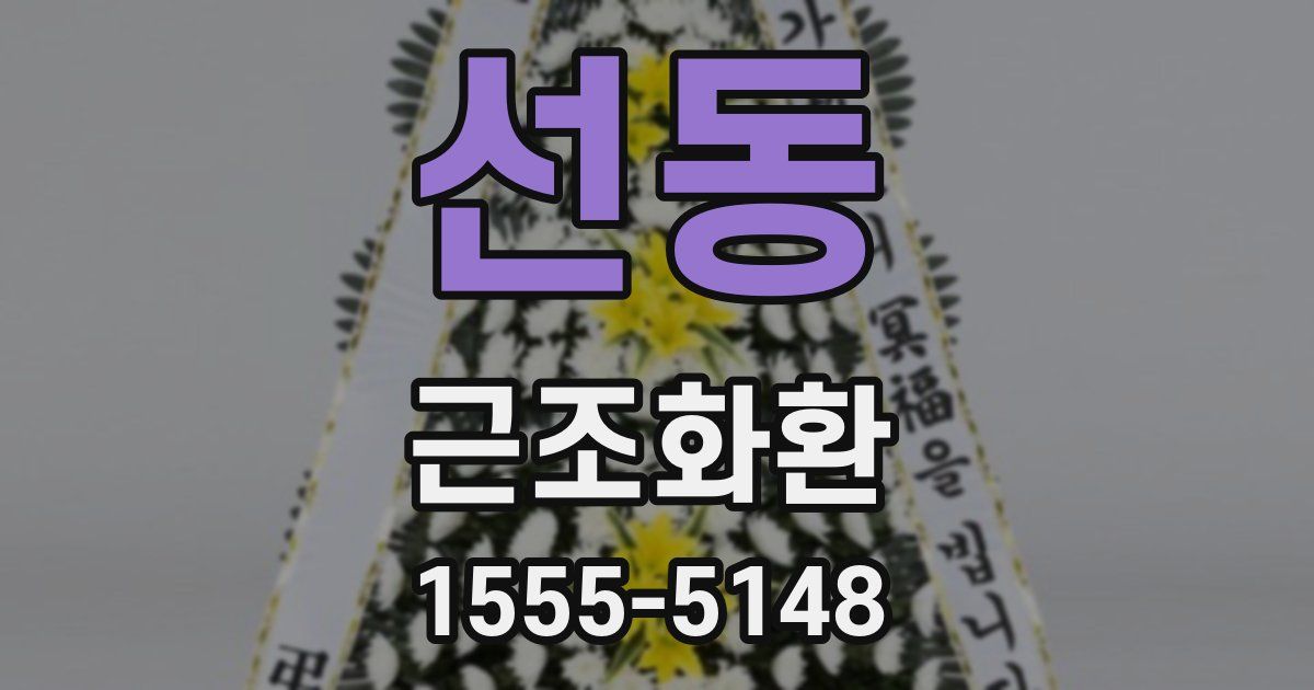 선동 근조화환