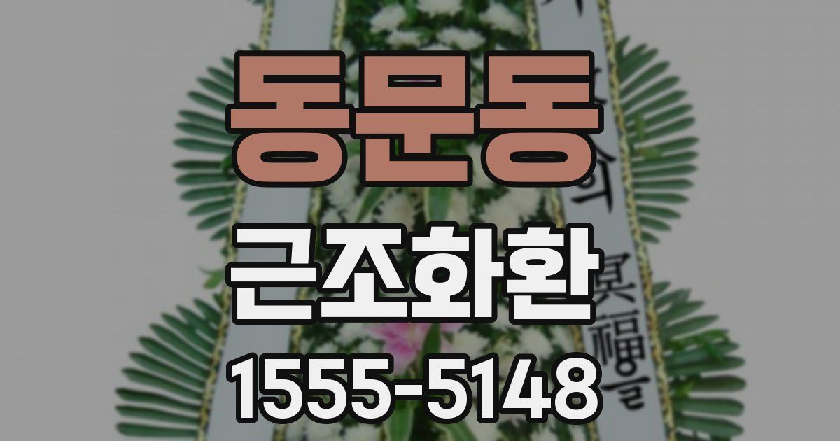 동문동 근조화환