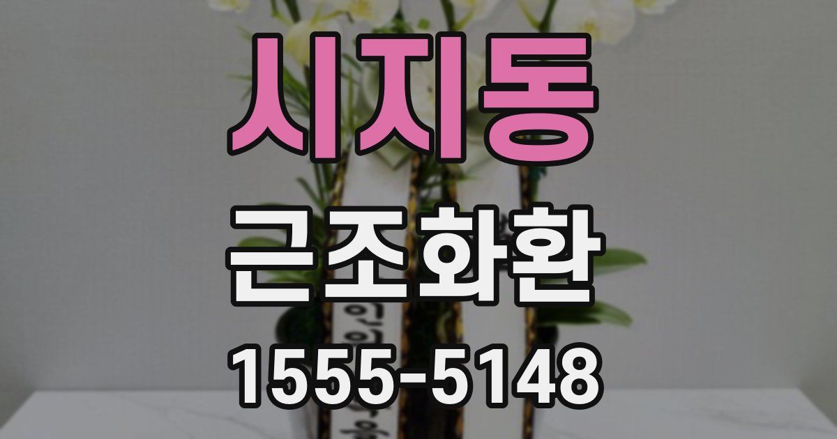 시지동 근조화환