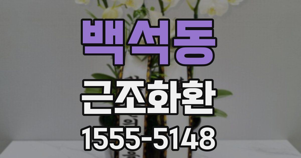 백석동 근조화환