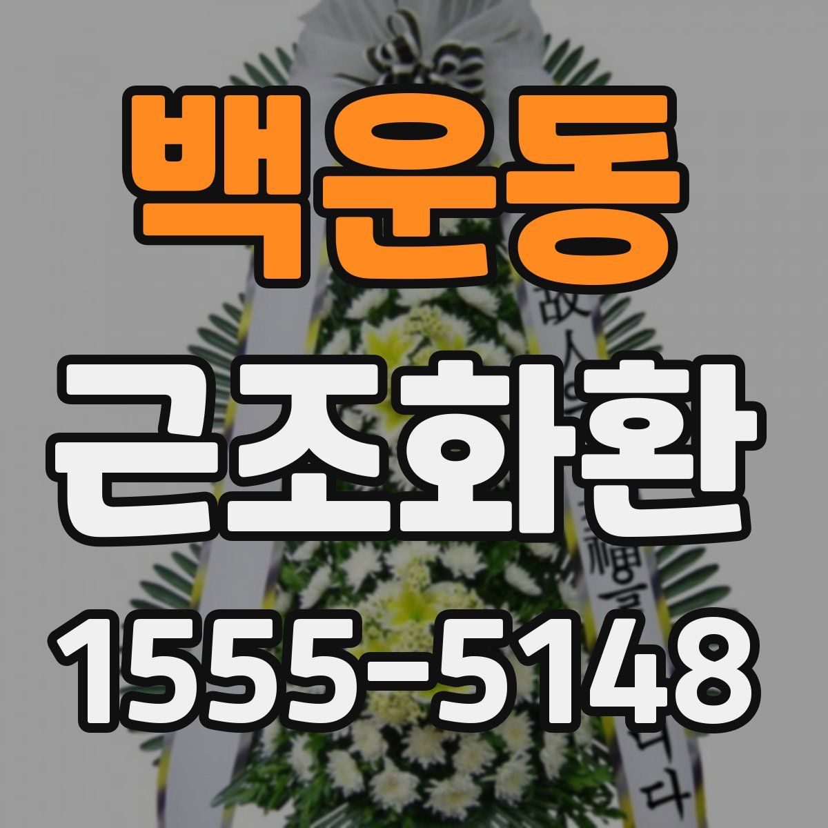 백운동 근조화환
