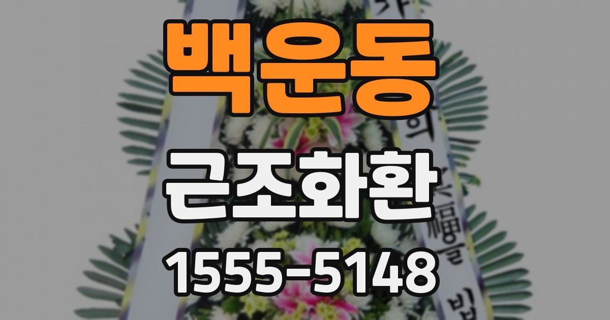 백운동 근조화환