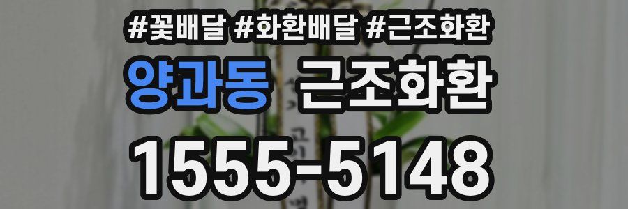 양과동 근조화환
