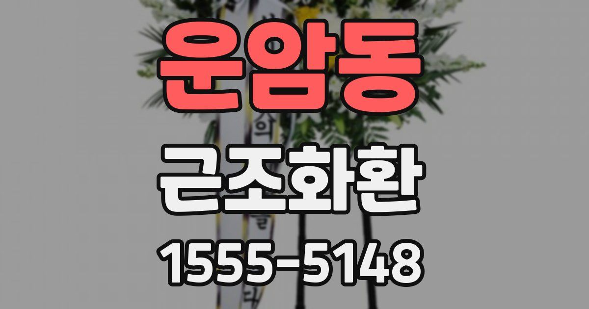 운암동 근조화환